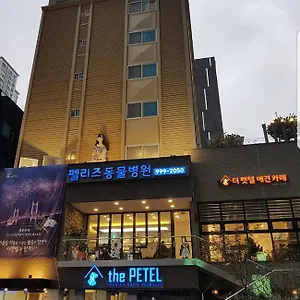 The Petel Premium *** Busan